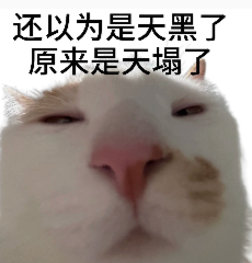 猫咪表情包：还以为是天黑了，原来是天塌了