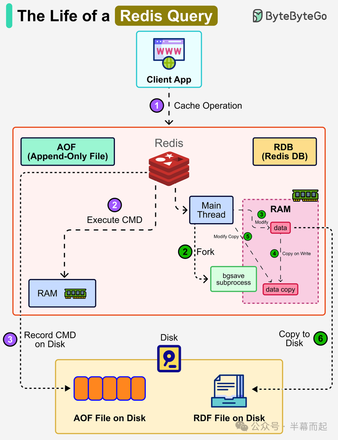 Redis查询生命周期流程图