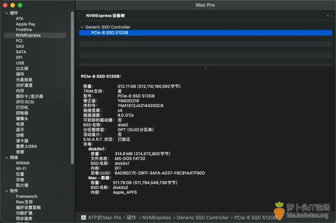 NVMe SSD详细信息