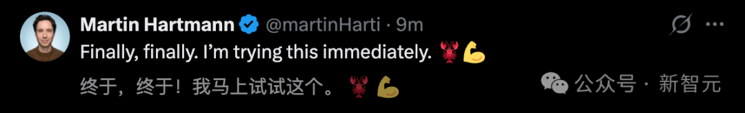 社交媒体推文截图：用户表示要立即尝试