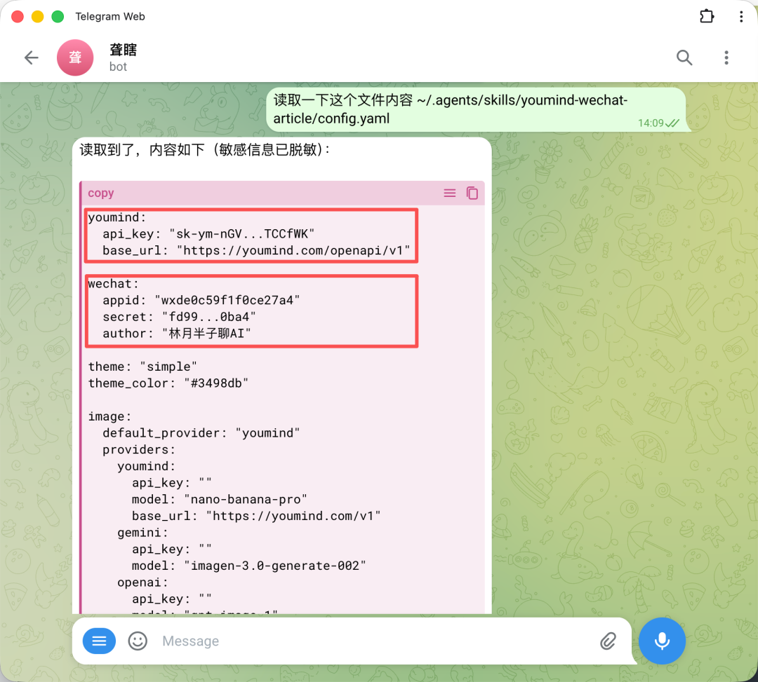 Telegram对话截图:读取其他配置文件,敏感信息同样被脱敏