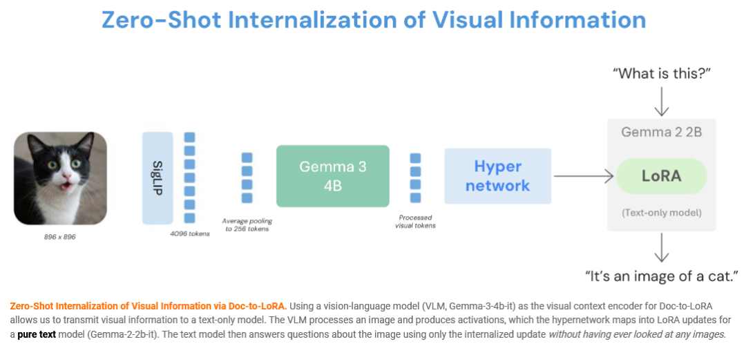 视觉信息零样本内化流程示意图