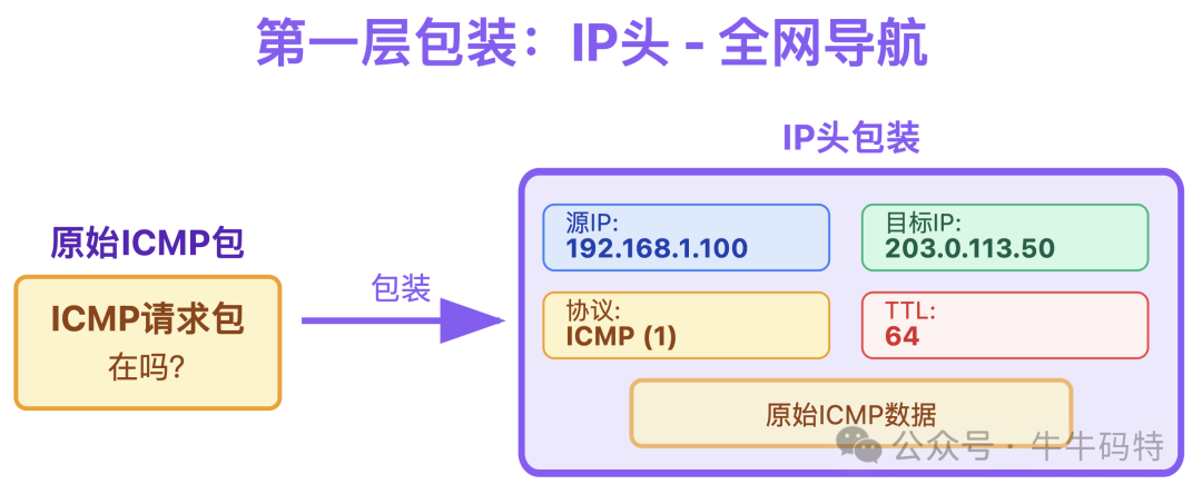 IP头封装示意图
