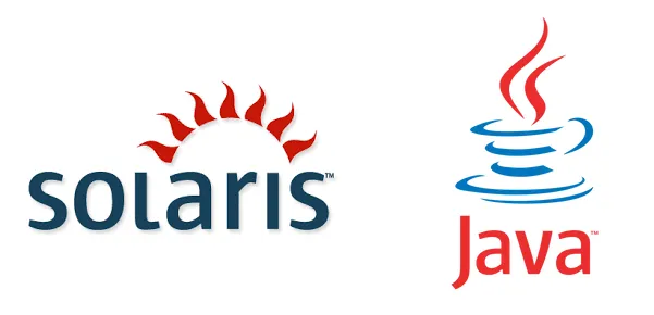 Solaris 与 Java 标志
