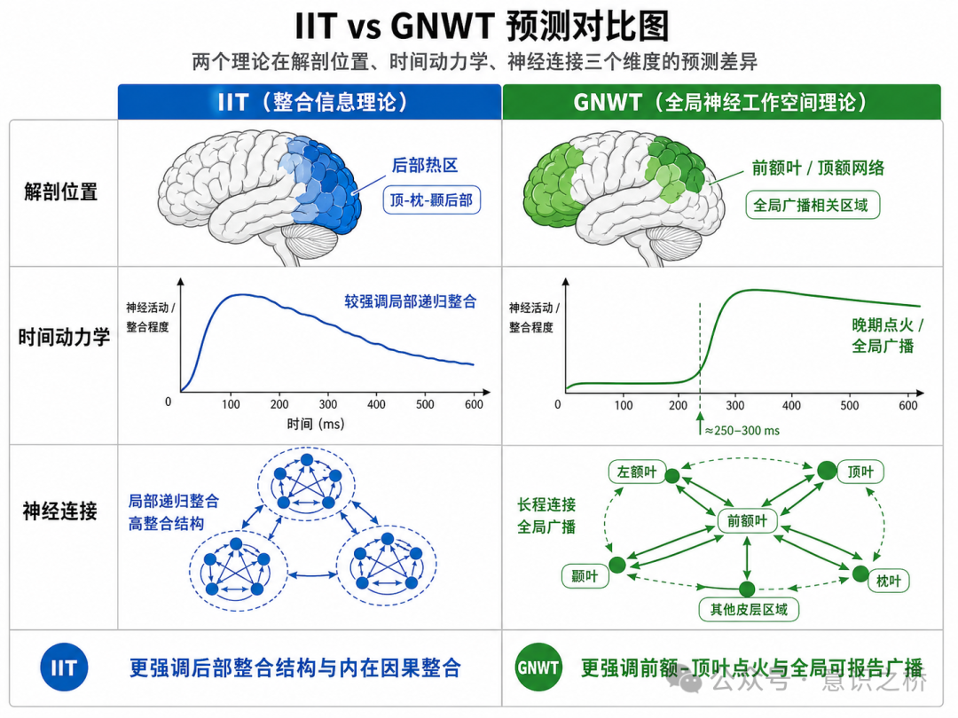 IIT与GNWT预测对比图，从解剖位置、时间动力学和神经连接三个维度比较两大理论