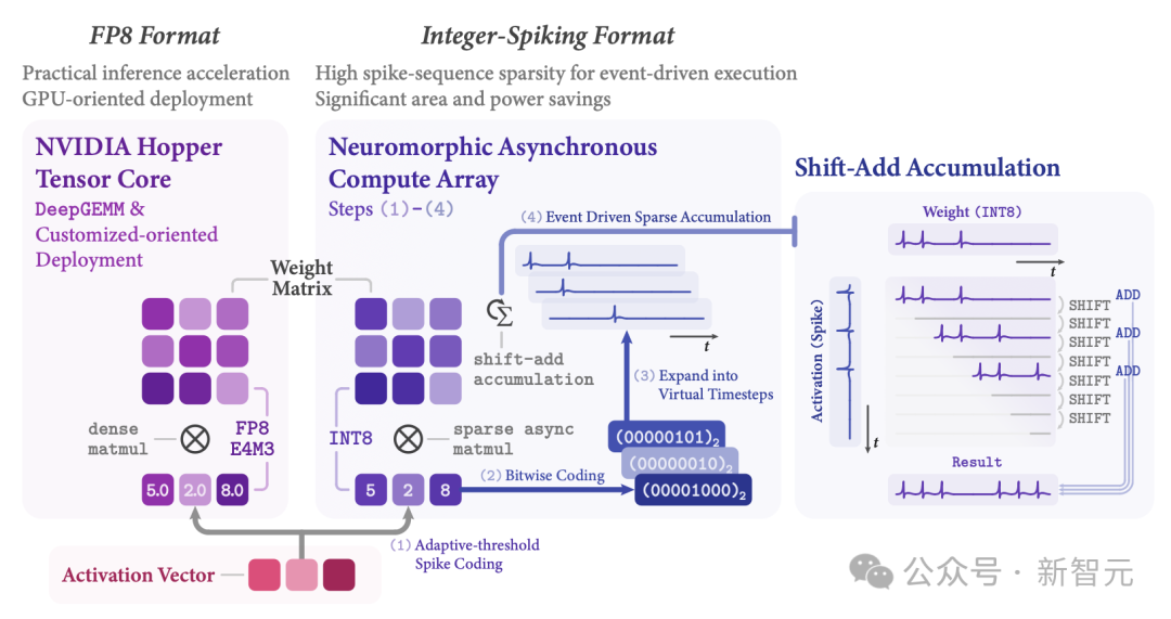 神经形态计算稀疏加速机制技术对比图：展示FP8与Integer-Spiking编码路径的流程