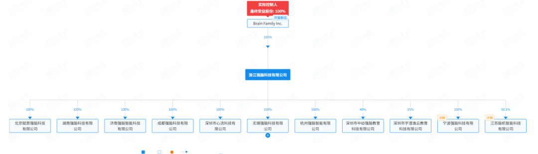 强脑科技股权结构图