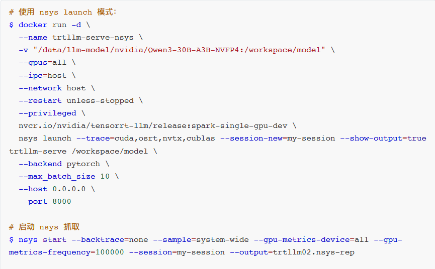 Docker启动nsys命令截图:含--gpus、--ipc、--network、--privileged及nsys launch参数