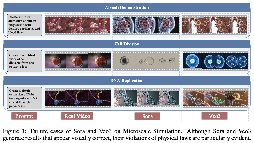 Sora与Veo3在微观模拟中的失败案例
