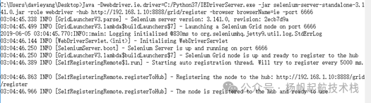 启动 IE Node 节点的命令行日志