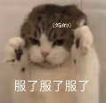 一只表情无奈、耳朵被自己抓着的猫，配文“服了服了服了”