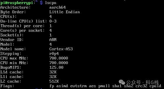 终端中lscpu命令的输出，显示CPU架构、核心数、缓存大小等详细信息