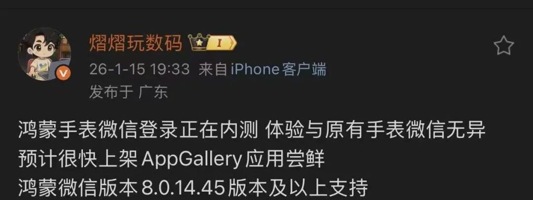 数码博主爆料鸿蒙手表微信内测的微博截图