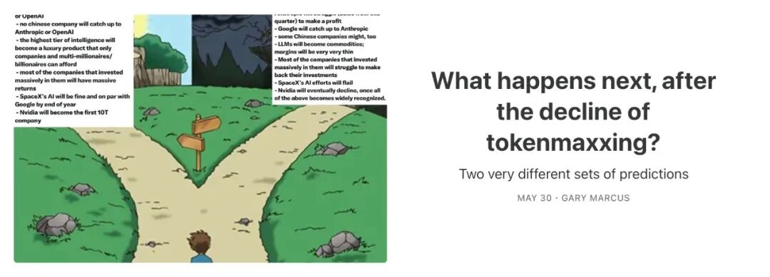 Gary Marcus预测tokenmaxxing衰退后的两种可能