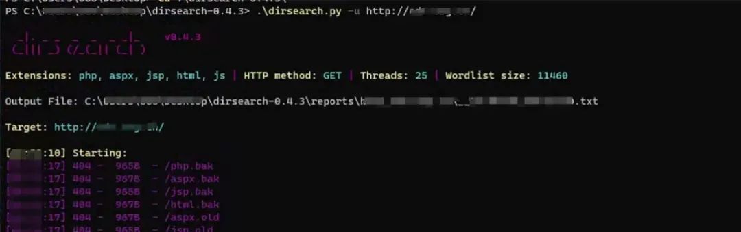 使用dirsearch进行目录扫描