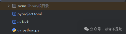 PyCharm 项目目录结构显示 .venv、pyproject.toml 和 uv.lock 文件
