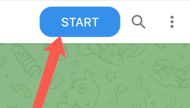Telegram中与新建机器人的对话界面，显示START按钮