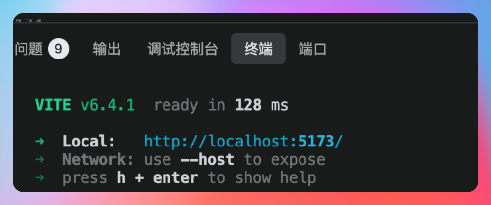 Vite 前端开发服务器启动成功