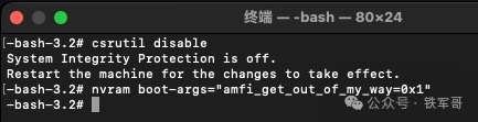 在终端中执行禁用SIP和设置内核参数的命令