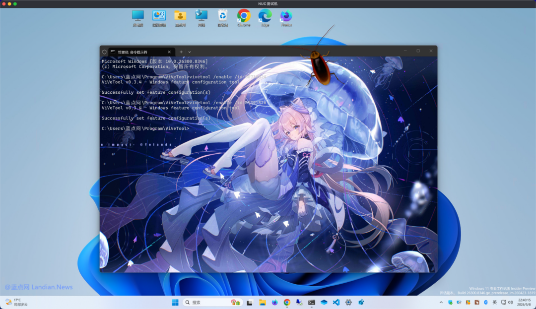 ViveTool在Windows 11中启用功能ID的命令行截图