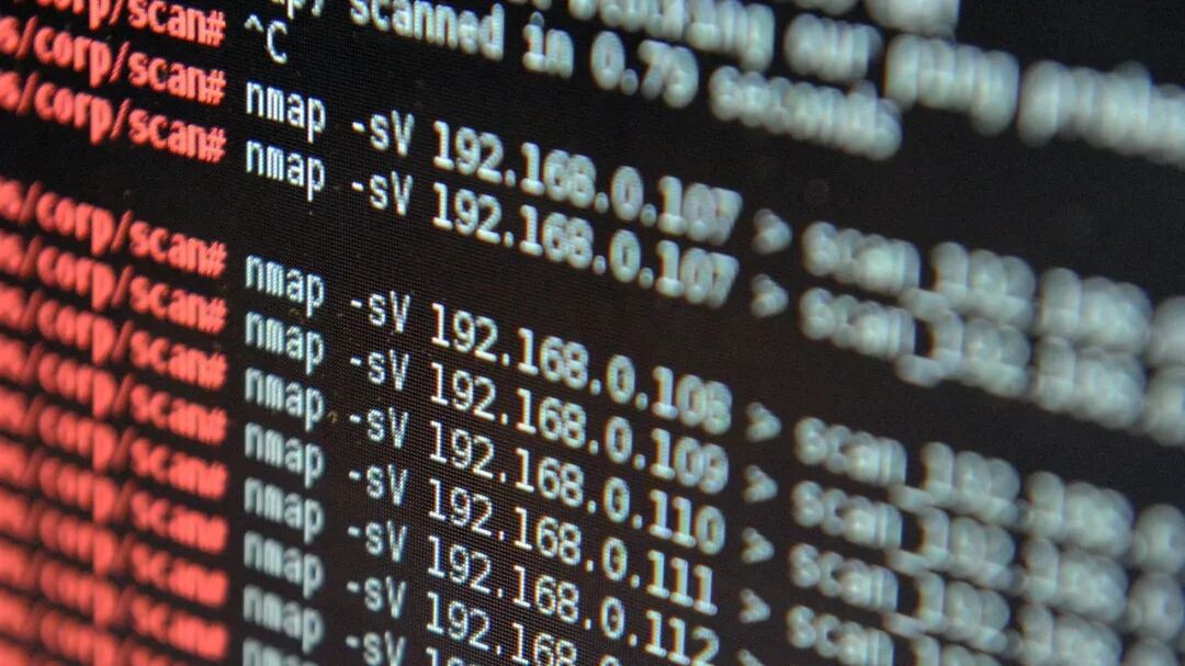 Nmap 扫描命令终端截图