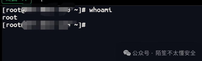 SSH连接成功并确认root权限