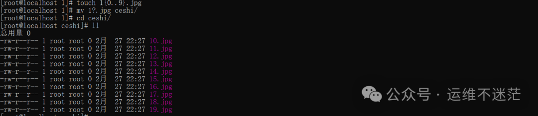 创建测试图片并移动至ceshi目录