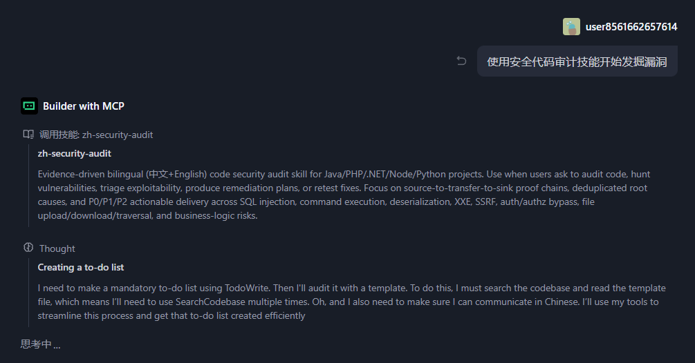 AI启动安全审计技能