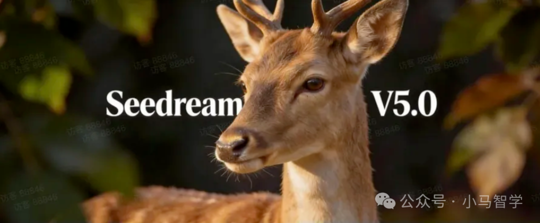 Seedream 5.0 官方发布主题图