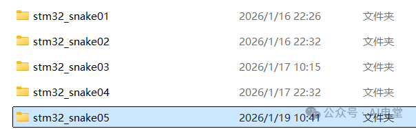 多个版本的项目文件夹