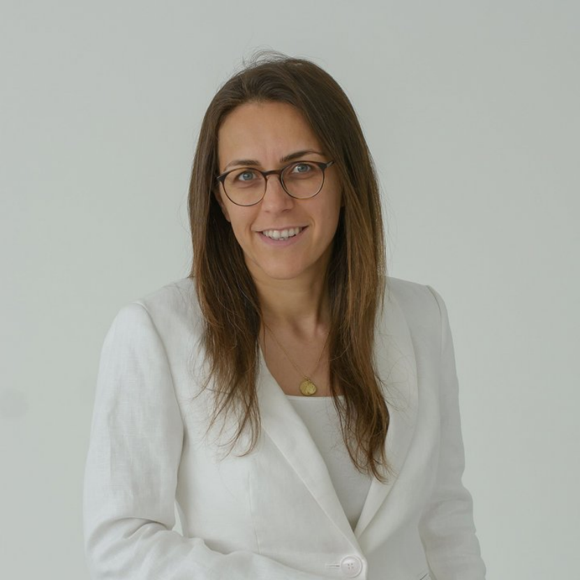 Hanieh Fattahi 教授