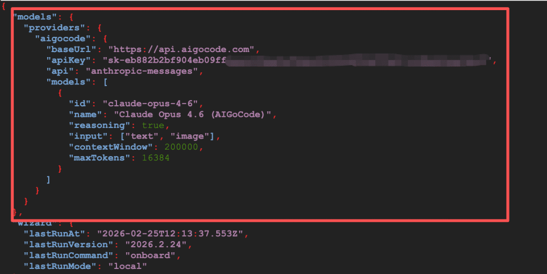 插入AIGoCode模型配置后的文件内容