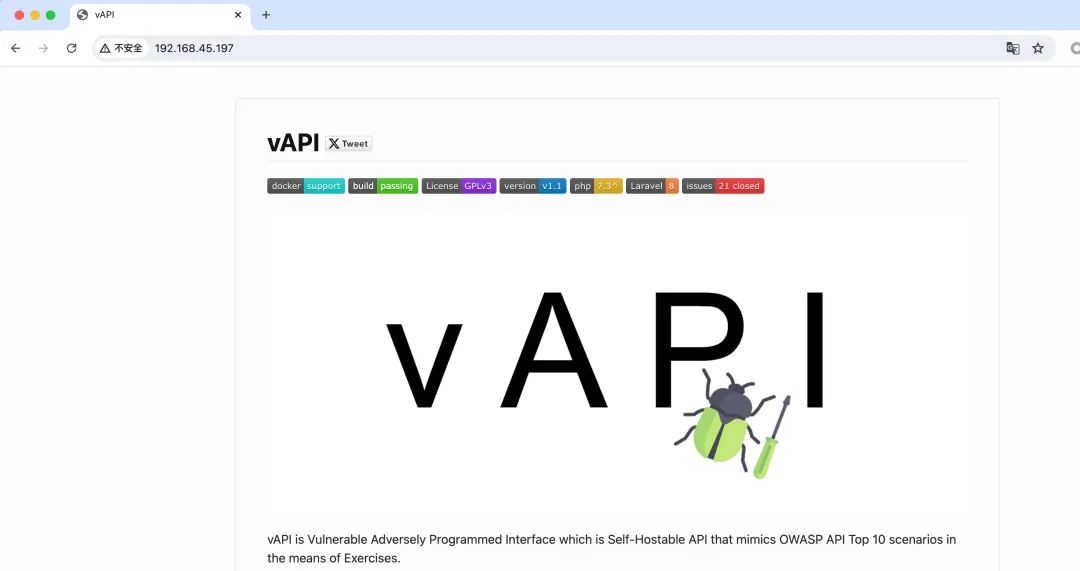 vAPI项目主页，带有绿色昆虫插图和项目描述