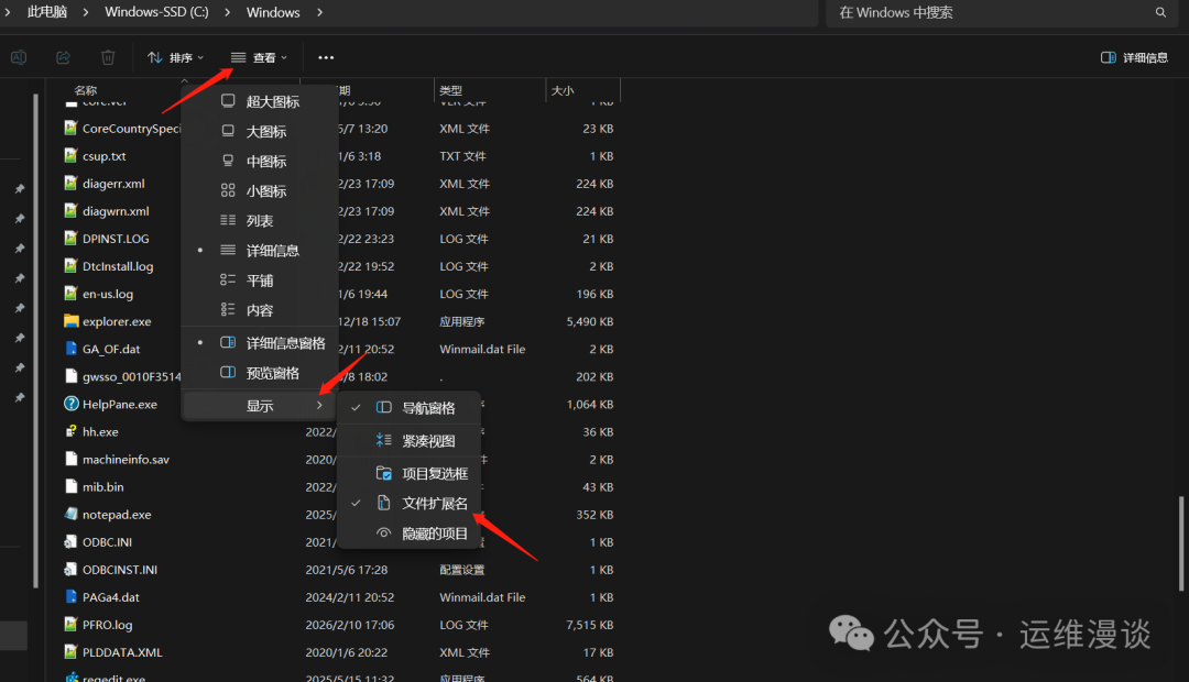 文件资源管理器查看选项