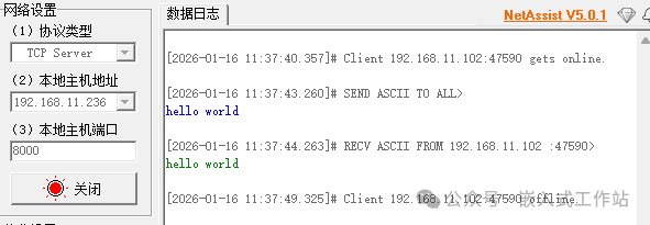 作为服务端的网络调试工具界面，显示客户端连接及双向通信日志