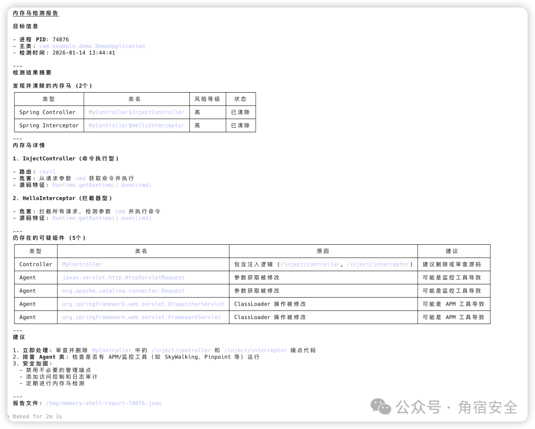 详细的内存马检测报告