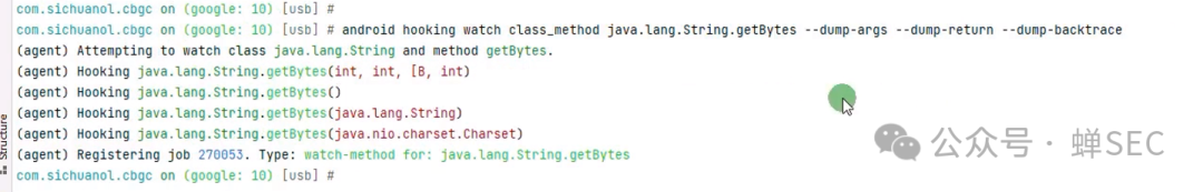 Hook命令打印详细参数和堆栈