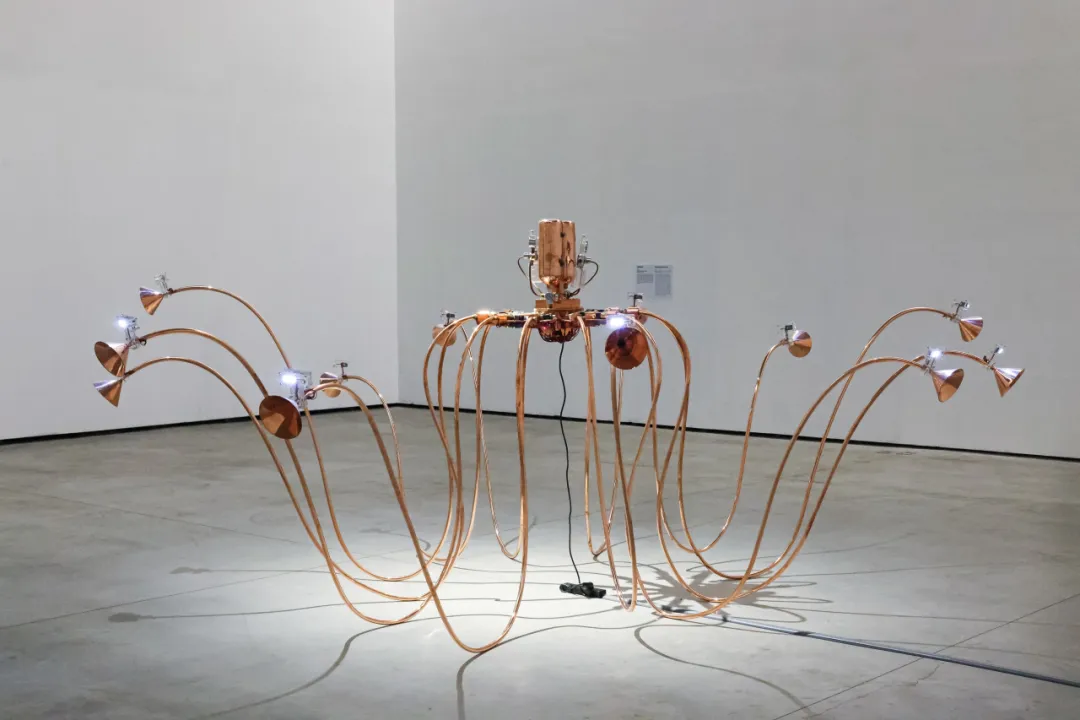 王郁洋铜制装置《忘却的记忆》