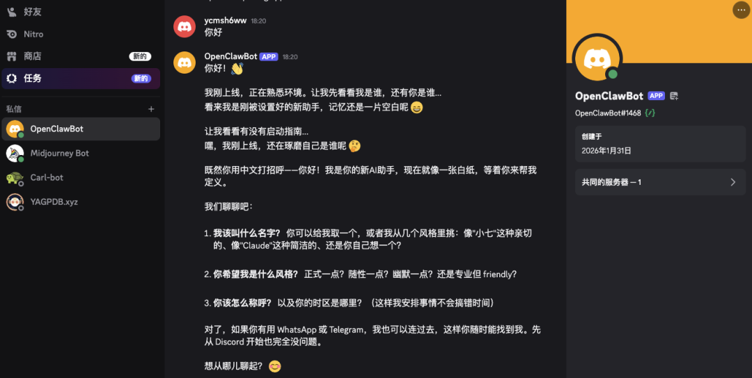 Discord私聊界面，与OpenClawBot成功对话