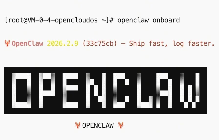 终端中执行openclaw onboard命令后的启动画面