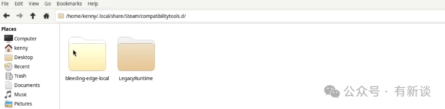Steam兼容工具目录文件管理器视图