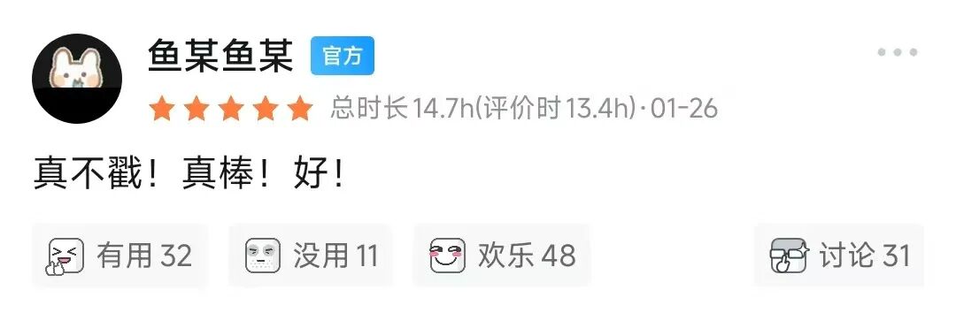 开发者“鱼某鱼某”在Steam发布的简短好评截图