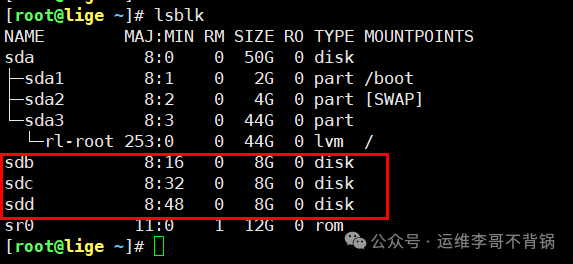 lsblk命令输出显示三块8GB磁盘