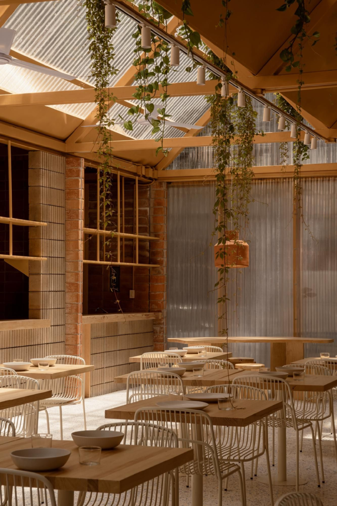 Plumbago餐厅天窗与结构