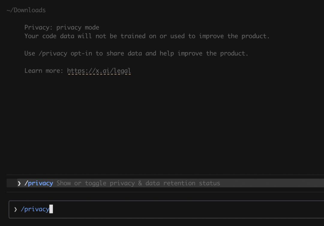Grok Build CLI 隐私模式终端截图
