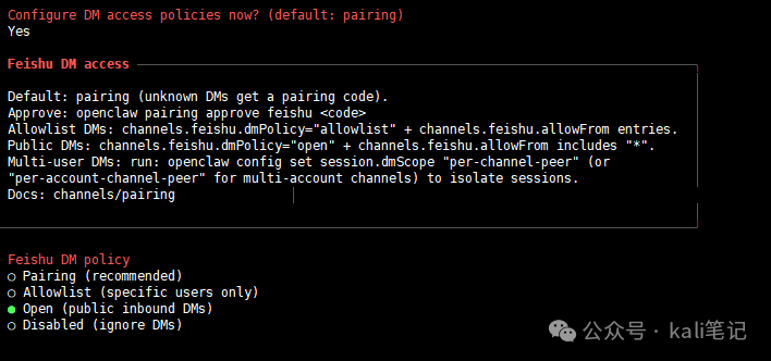 设置飞书私聊访问策略