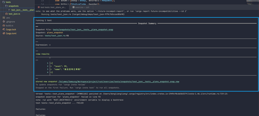 首次运行测试的失败输出与提示