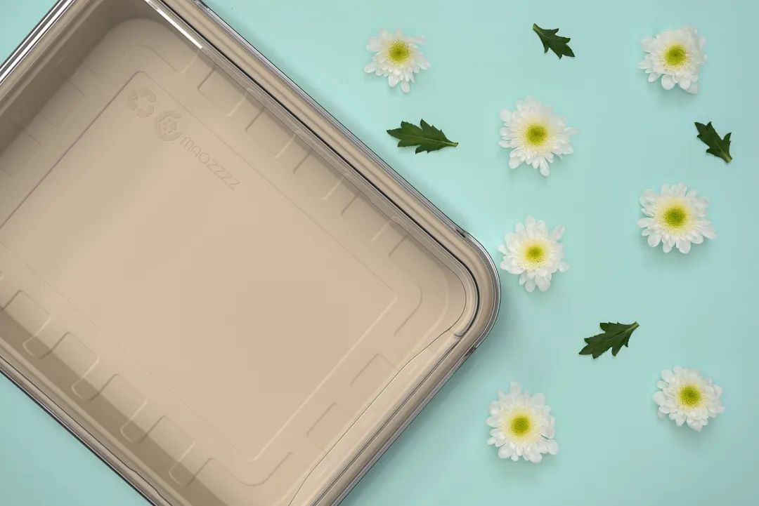 米色塑料餐盒盖子与白色小雏菊静物