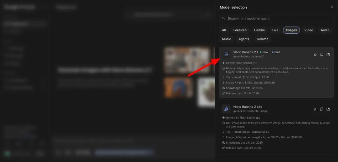 Google AI Studio 中的模型选择界面