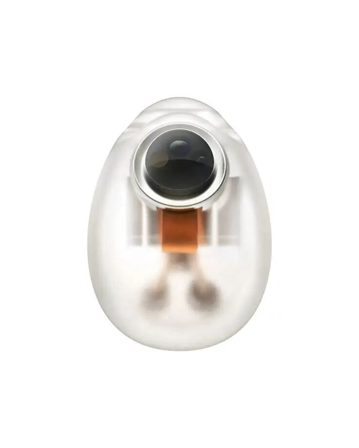 蛋形透明设备带黑色镜头